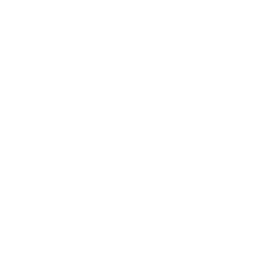 ce logo Corona