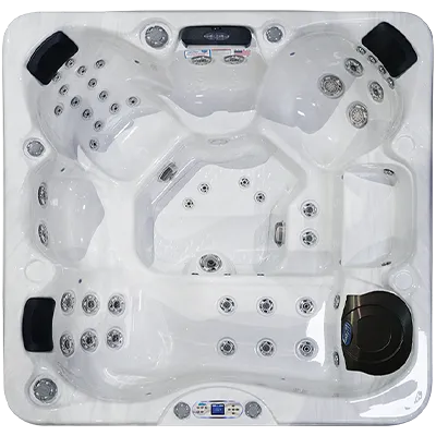 Avalon EC-849L hot tubs for sale in Corona